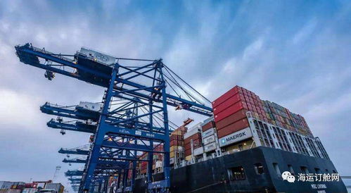 外貿貨代企業，是時候和伊朗業務說再見了